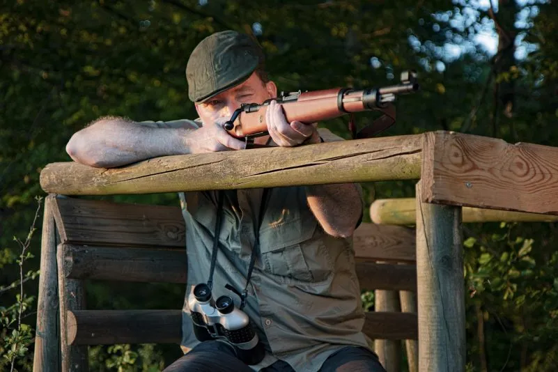 Caza y cultura en España: de privilegio feudal a gestión del medio natural