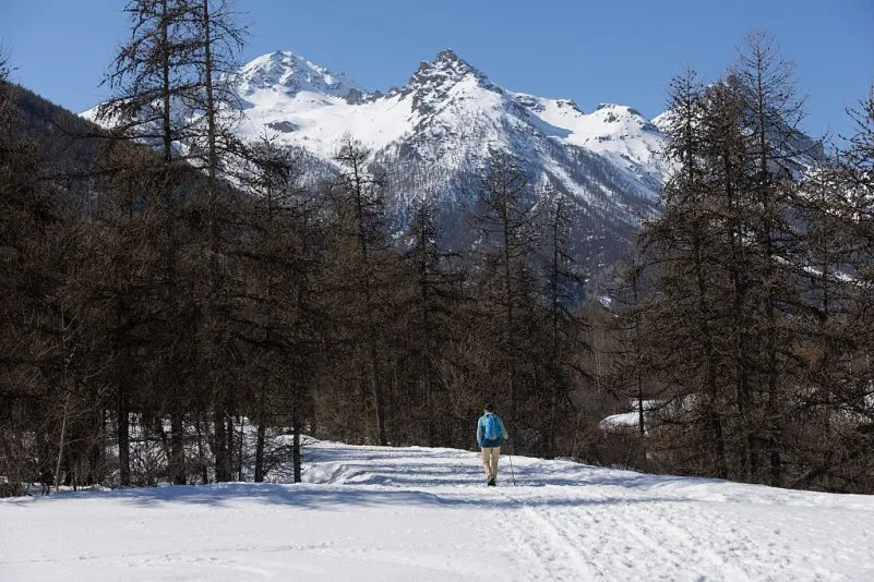 Eras glaciales: cómo las fuerzas astronómicas han modelado el clima terrestre durante millones de años
