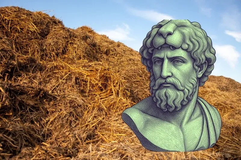 Cuando la decadencia se convierte en un hábito, la fuerza por sí sola no basta para poner orden