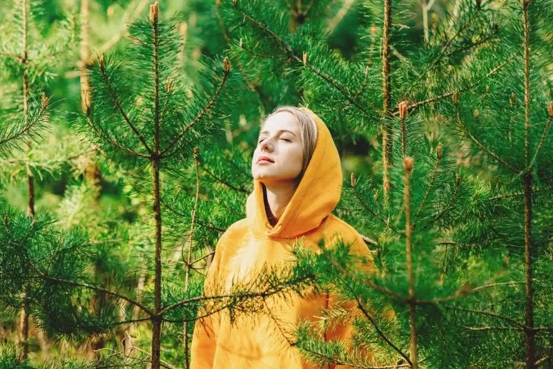 Un minuto de sonidos familiares de la naturaleza puede mejorar su estado de ánimo