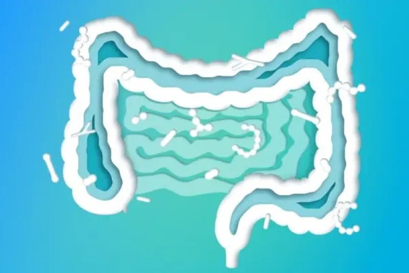 Cómo las bacterias intestinales influyen en la energía, los antojos y el peso