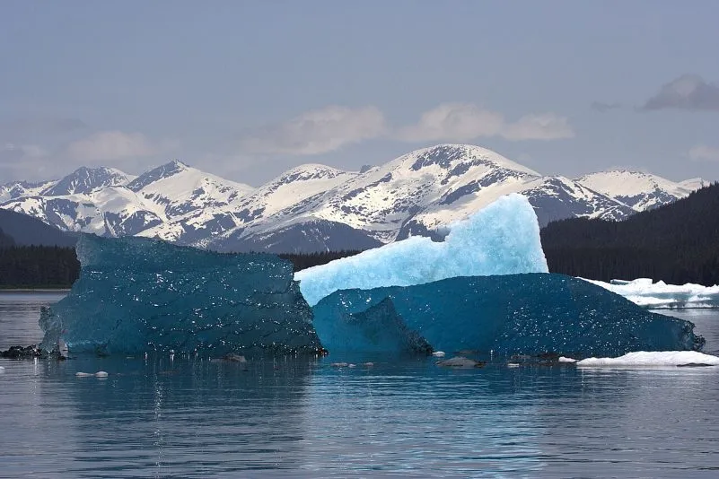 Hace 2,7 millones de años el clima se volvió caótico, y la humanidad evolucionó en medio de ese caos, según un estudio